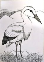 Valkovičová Hana.jpg